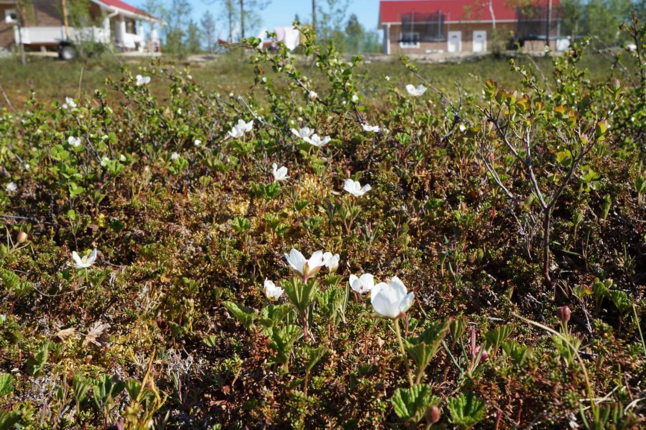 Majoitus Valkea Appartement Nunnanen Buitenkant foto