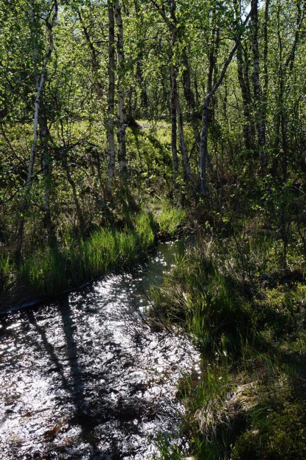 Majoitus Valkea Appartement Nunnanen Buitenkant foto